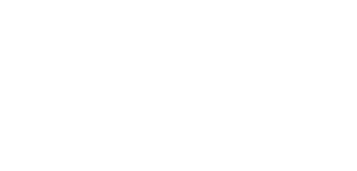 ארכי